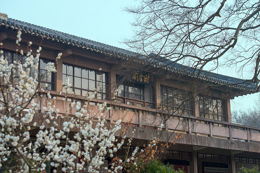 江南探梅之南京梅花山-中山陵,明孝陵