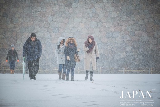 【一个人的11区】冬季和霓虹国来场初邂逅……（D3 大雪中的兼六园是极好的！）-新宿,池袋,东京,北海道,日本
