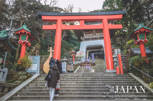 【一个人的11区】冬季和霓虹国来场初邂逅……（D5 漫步镰仓 朝拜圣地）-镰仓高校,江之岛,上野动物园,新宿,上野公园