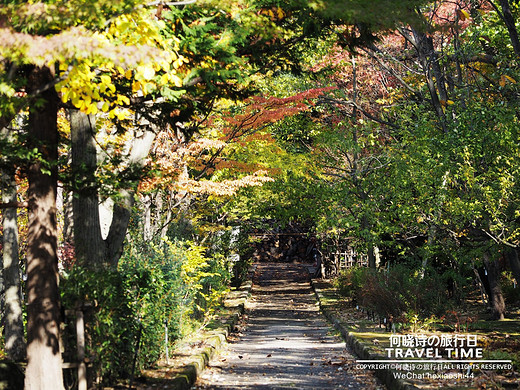 秋の日本 | 拖着婚纱去旅行（正文六：弘前、青森）-富士山,函馆