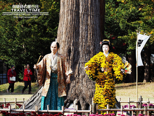 秋の日本 | 拖着婚纱去旅行（正文六：弘前、青森）-富士山,函馆