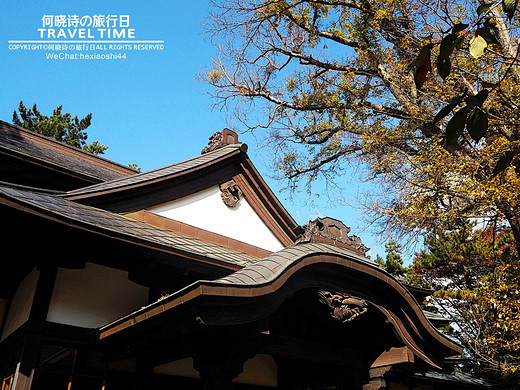 秋の日本 | 拖着婚纱去旅行（正文六：弘前、青森）-富士山,函馆