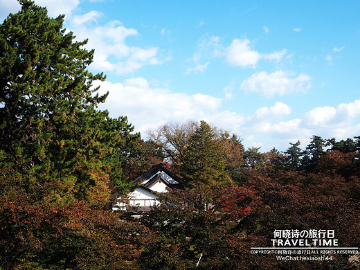 秋の日本 | 拖着婚纱去旅行（正文六：弘前、青森）-富士山,函馆