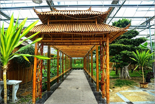 清季花草艳 雨中游太仓  ·【 南园篇】