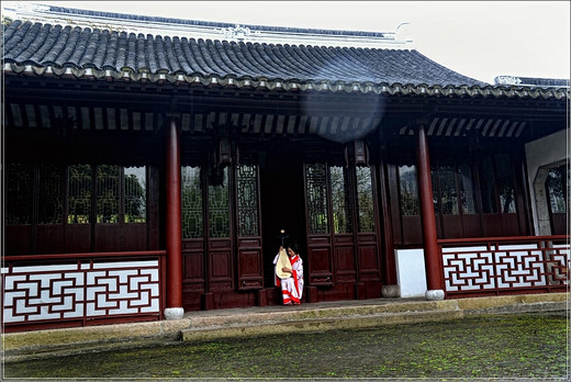 清季花草艳 雨中游太仓  ·【 南园篇】