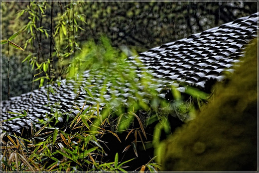 清季花草艳 雨中游太仓  ·【 南园篇】