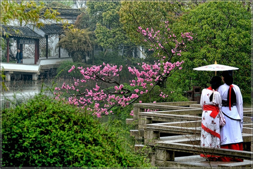 清季花草艳 雨中游太仓  ·【 南园篇】