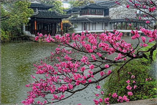 清季花草艳 雨中游太仓  ·【 南园篇】