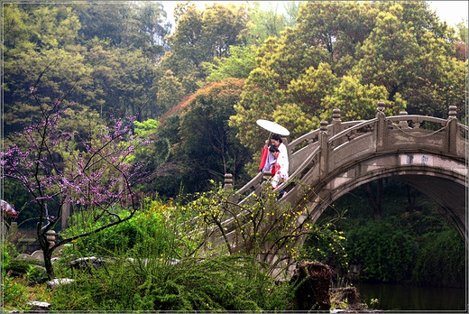 清季花草艳 雨中游太仓  ·【 南园篇】