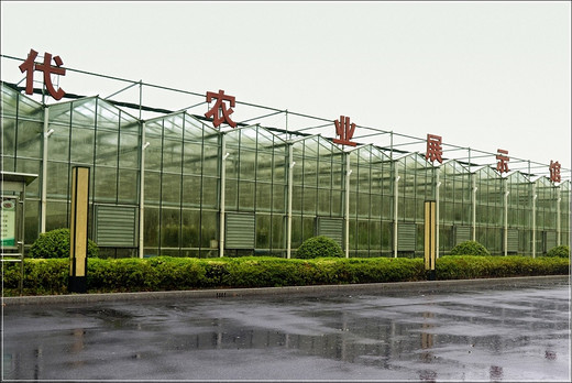 清季花草艳 雨中游太仓  ·【 南园篇】