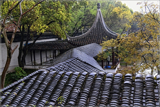 清季花草艳 雨中游太仓  ·【 南园篇】