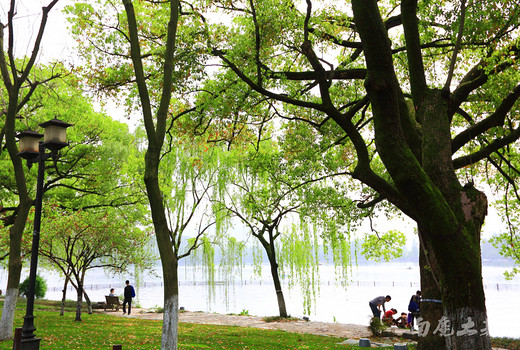 原来，西湖还可以这样玩-孤山,杭州