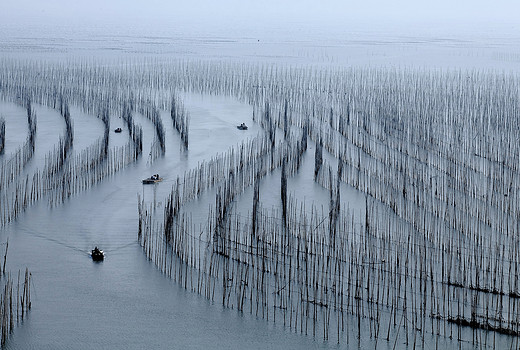 霞浦滩涂，中国的威尼斯-宁德
