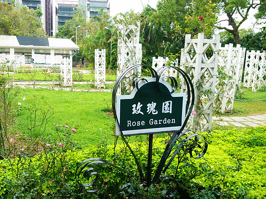 冬季到台北来看雨（一）-阳明山,台北故宫,国父纪念馆,士林夜市,台北总统府