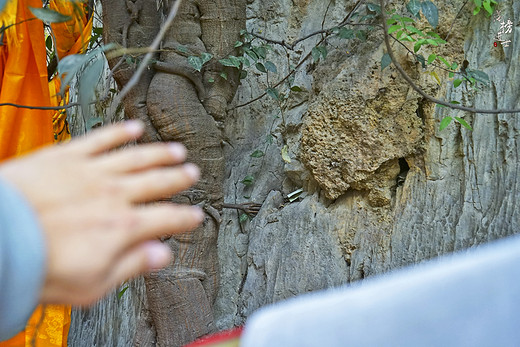 巴拉格宗，倾听菩提树下的千年之恋-香格里拉,香格里拉大峡谷