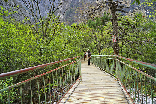 巴拉格宗大峡谷，通往天界的神秘峡谷-独克宗古城,香格里拉,虎跳峡,香格里拉大峡谷