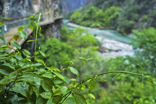 巴拉格宗大峡谷，通往天界的神秘峡谷-独克宗古城,香格里拉,虎跳峡,香格里拉大峡谷