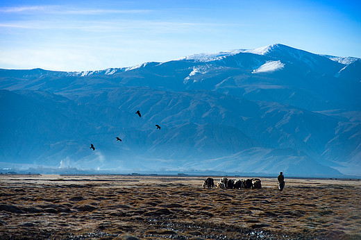 阿拉尔金草滩-帕米尔高原,新疆