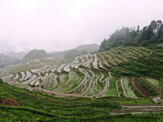 丽水古堰画乡云和梯田游