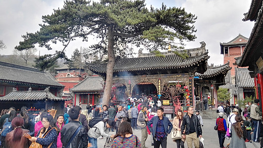 拍古建筑  醉在五台宝库中-五台山,山西