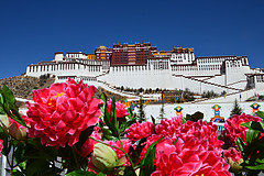 【西藏】坐着火车去拉萨，去看神奇的布达拉之六-终入布达拉宫 色拉寺辩经