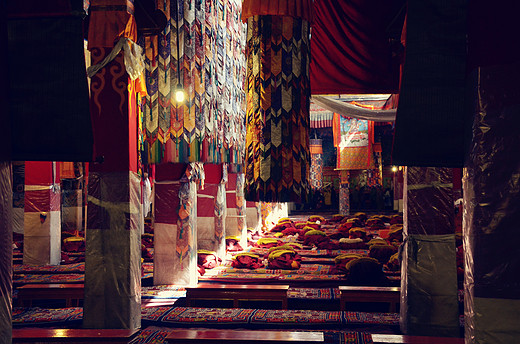 【西藏】坐着火车去拉萨，去看神奇的布达拉之三-哲蚌寺拜佛-布达拉宫