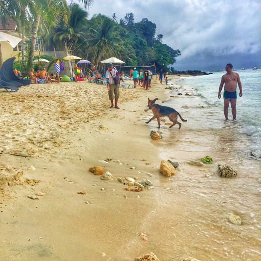 See you again Boracay 【2016年长滩岛7天6晚自由行】【下】-普卡海滩,菲律宾