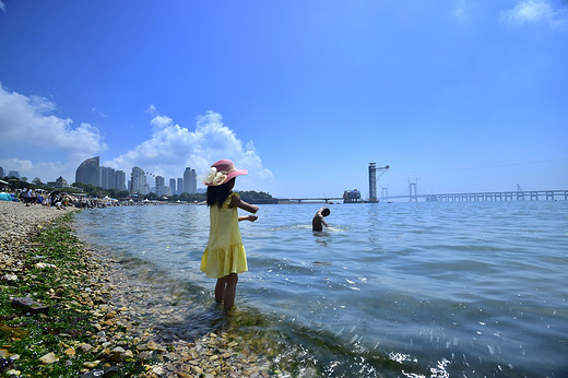 约您去大连看鸟儿在湿地飞翔-金石滩