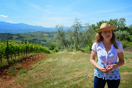 意大利Tuscany之行 -- Wine Tour-锡耶纳,托斯卡纳,佛罗伦萨