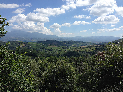 意大利Tuscany之行 -- Wine Tour-锡耶纳,托斯卡纳,佛罗伦萨