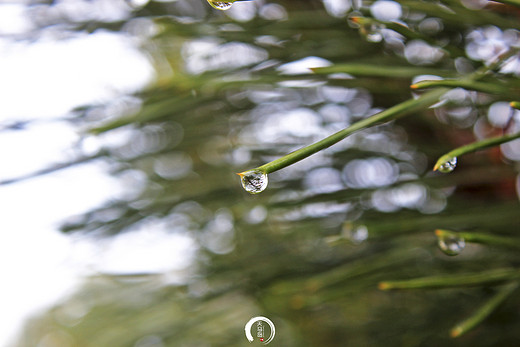 去天马岛湿身漂流，于炎炎夏日里偷一缕清凉-临沂