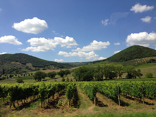 意大利Tuscany之行 -- Wine Tour-锡耶纳,托斯卡纳,佛罗伦萨