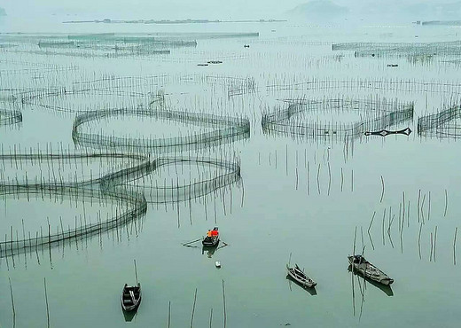 霞浦——中国最美的滩涂-宁德