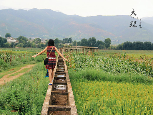这里有田园有故事，总有一种你想要的生活（沙溪篇）-剑川县
