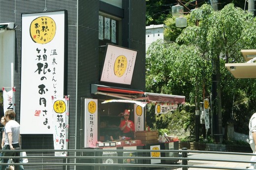 ​森林 神社 温泉！丰富多彩的超实用箱根攻略-仙石原,恩赐箱根公园,箱根神社,神奈川县