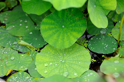 寻迹烟雨牛首，瞻仰佛顶圣境-南京