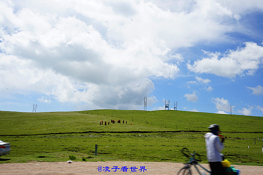 七月青海，风景在路上（一）-青海湖,天峻县,柴达木盆地