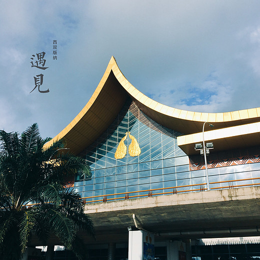 搭乘耗时最短的航班抵达西双版纳，开启了有-西双版纳热带植物园,新加坡