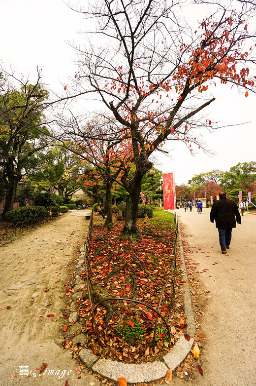 ​追逐关西枫叶，只为那一抹红（二）-大阪城,大阪,天保山大摩天轮,大阪城公园,日本
