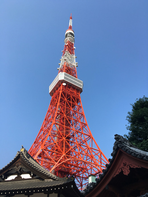 
简约而大气的东京塔