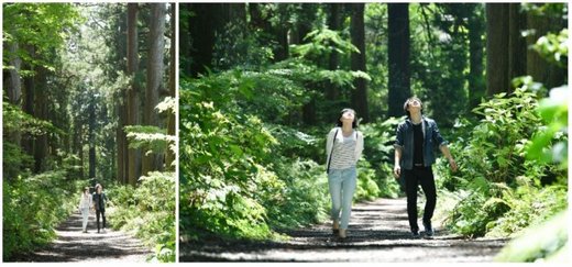 ​森林 神社 温泉！丰富多彩的超实用箱根攻略-仙石原,恩赐箱根公园,箱根神社,神奈川县