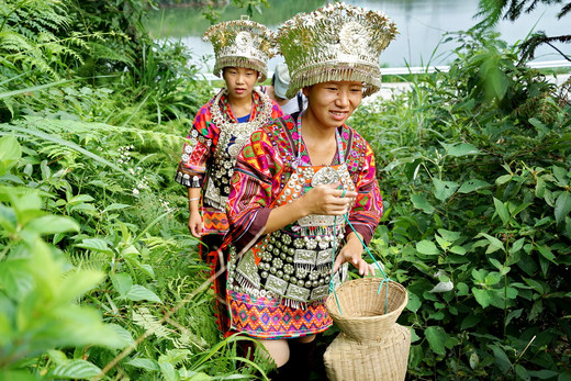 五百年前的超短裙苗族如何走到今天...-新桥苗寨,雷山,黔东南