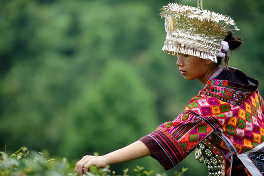 五百年前的超短裙苗族如何走到今天...-新桥苗寨,雷山,黔东南