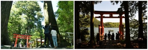 ​森林 神社 温泉！丰富多彩的超实用箱根攻略-仙石原,恩赐箱根公园,箱根神社,神奈川县