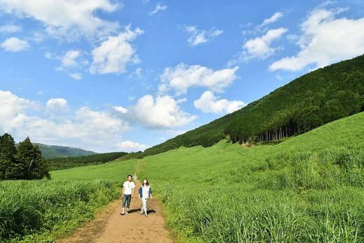 ​森林 神社 温泉！丰富多彩的超实用箱根攻略-仙石原,恩赐箱根公园,箱根神社,神奈川县