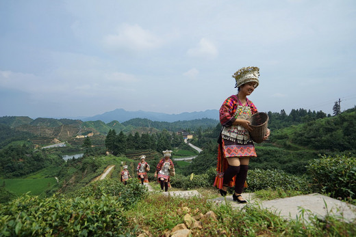 五百年前的超短裙苗族如何走到今天...-新桥苗寨,雷山,黔东南