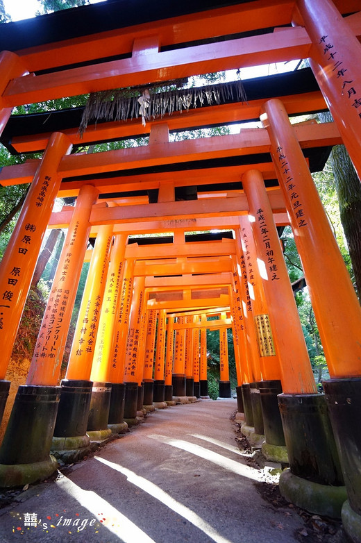 追逐关西枫叶，只为那一抹红（五）-奈良,京都,东本愿寺,东福寺,伏见稻荷大社