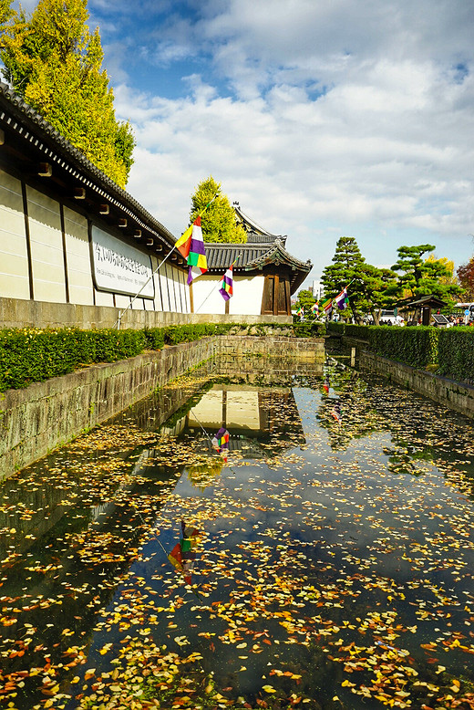 追逐关西枫叶，只为那一抹红（五）-奈良,京都,东本愿寺,东福寺,伏见稻荷大社