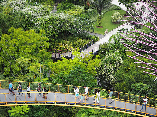 35℃漫游新加坡，飞奔民丹岛～～你好，新加坡-滨海湾花园,龙桥,克拉码头,鱼尾狮公园