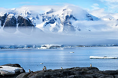去世界的尽头南极看企鹅